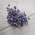 Тычинки сахарные 4 мм, 40 нитей, цв. бело-фиолетовый