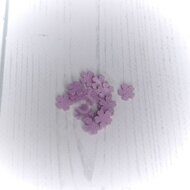 Набор мелких цветочков из мягкого фетра "Пятилистник фигурный" 10 мм, цв.лавандовый (10 шт)