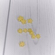Набор мелких цветочков из мягкого фетра "Пятилистник круглый" 8 мм, (10 шт) цв.пастельный желтый