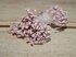 Тычинки для цветов матовые 2-3 мм (30 нитей), цв.пастельный розовый