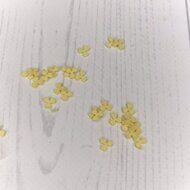 Набор мелких цветочков из мягкого фетра "Три лепестка" 6 мм, (10 шт) цв.пастельный желтый